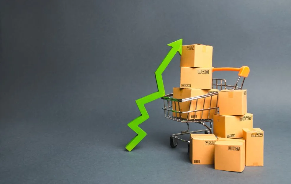 Holiday Ecommerce Logistics